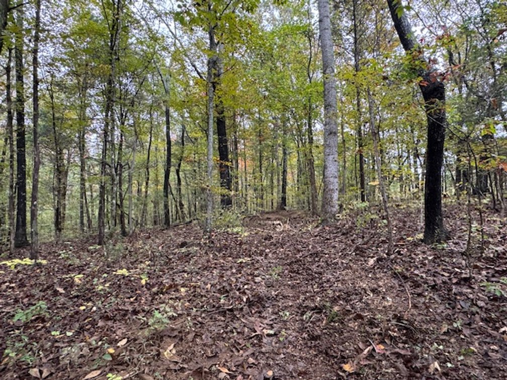 Image for 65 acres on Barren Fork Creek - Bon Aqua, TN