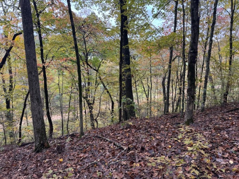 Image for 65 acres on Barren Fork Creek - Bon Aqua, TN