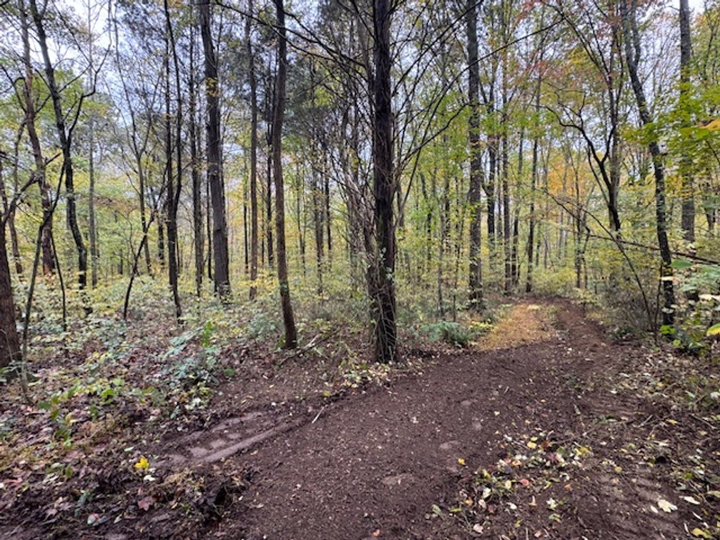 Image for 65 acres on Barren Fork Creek - Bon Aqua, TN