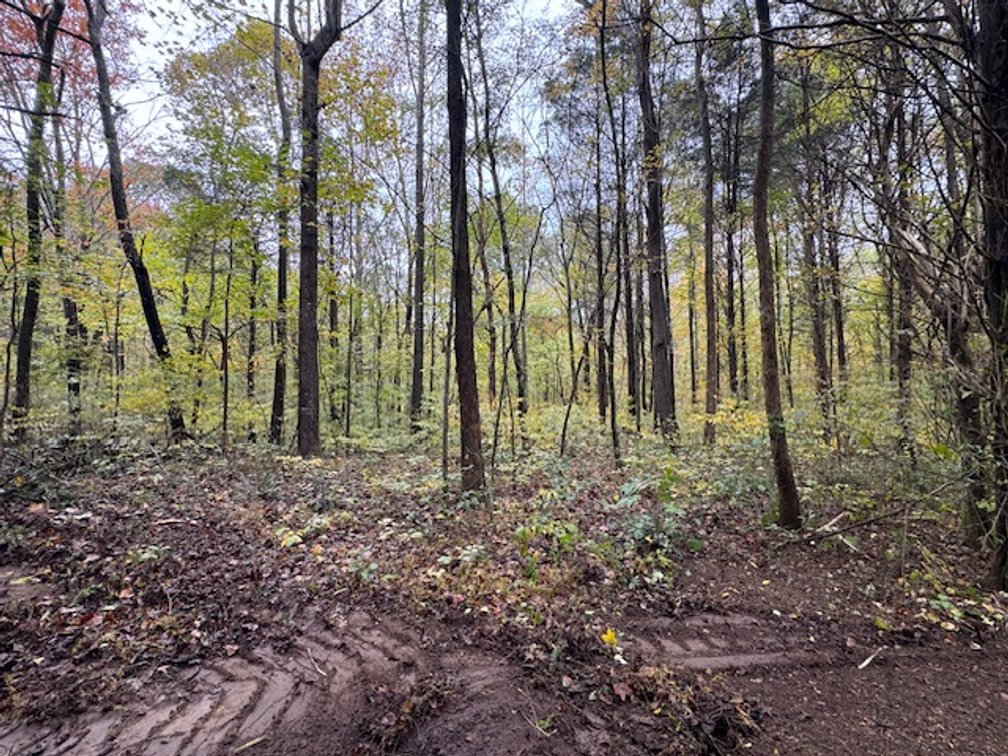 Image for 65 acres on Barren Fork Creek - Bon Aqua, TN