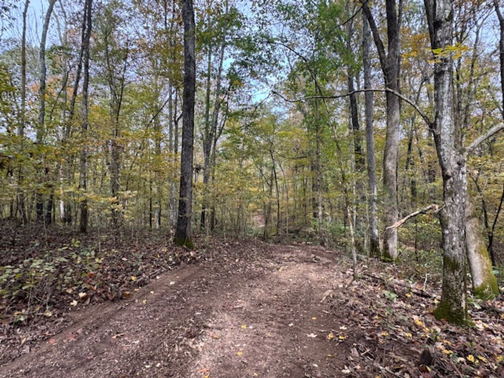 Image for 65 acres on Barren Fork Creek - Bon Aqua, TN