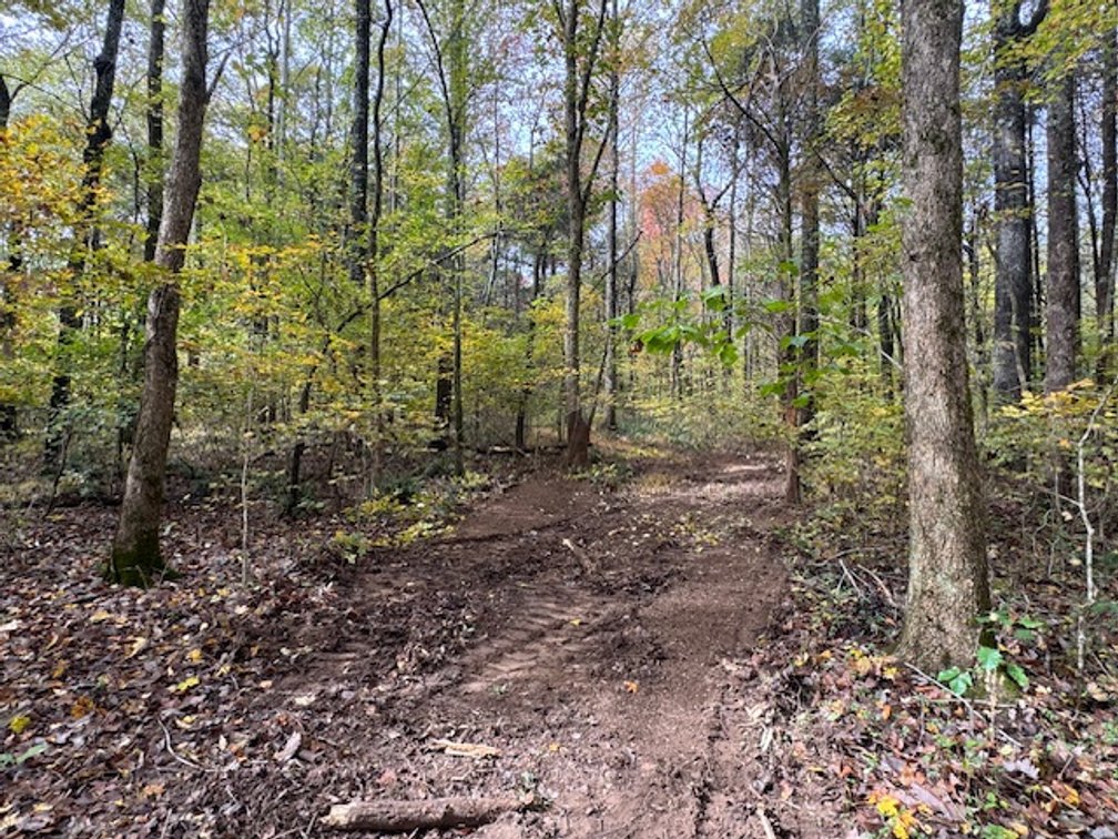 Image for 65 acres on Barren Fork Creek - Bon Aqua, TN