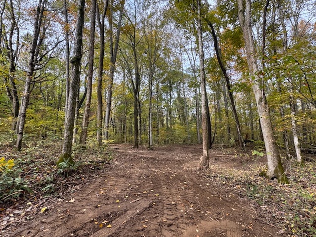 Image for 65 acres on Barren Fork Creek - Bon Aqua, TN