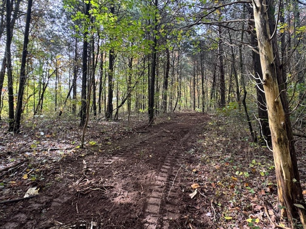 Image for 65 acres on Barren Fork Creek - Bon Aqua, TN