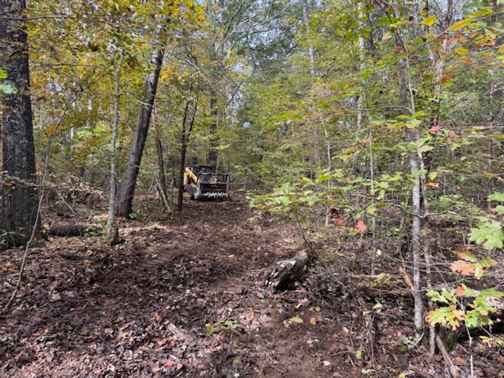 Image for 65 acres on Barren Fork Creek - Bon Aqua, TN