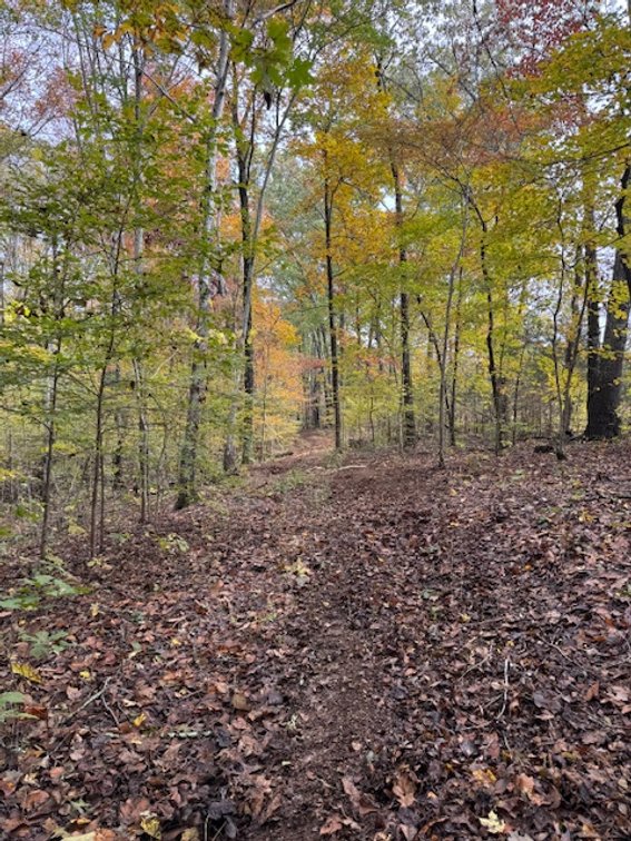 Image for 65 acres on Barren Fork Creek - Bon Aqua, TN
