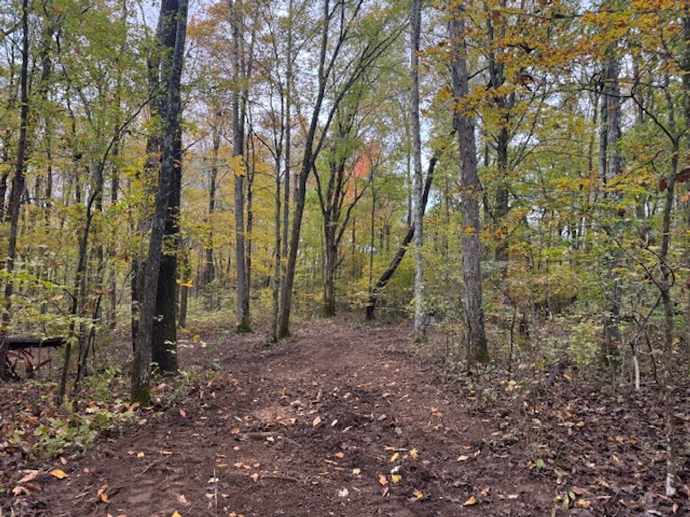 Image for 65 acres on Barren Fork Creek - Bon Aqua, TN