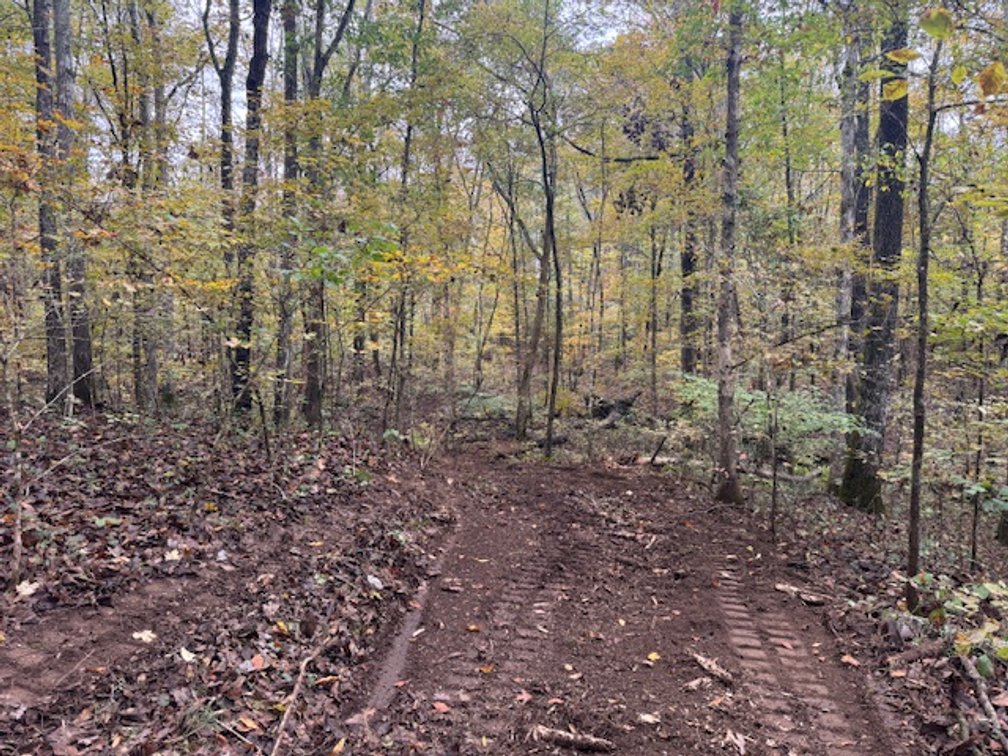 Image for 65 acres on Barren Fork Creek - Bon Aqua, TN