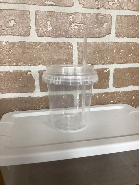 Plastic Cups (S1)