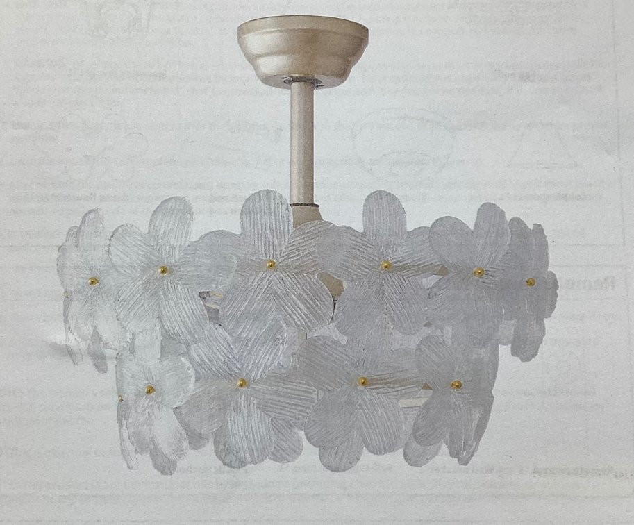 Ceiling Fan (S1)