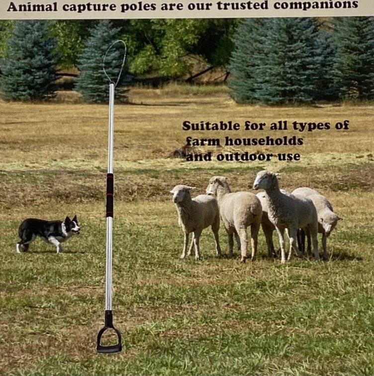 60”-92” Animal Catch Pole (S3)