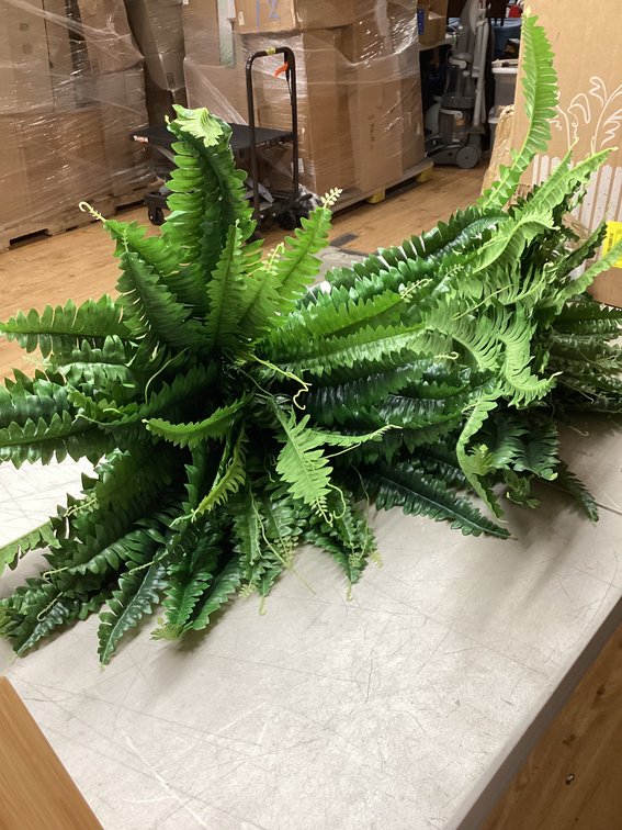 Artificial Fern (S1)
