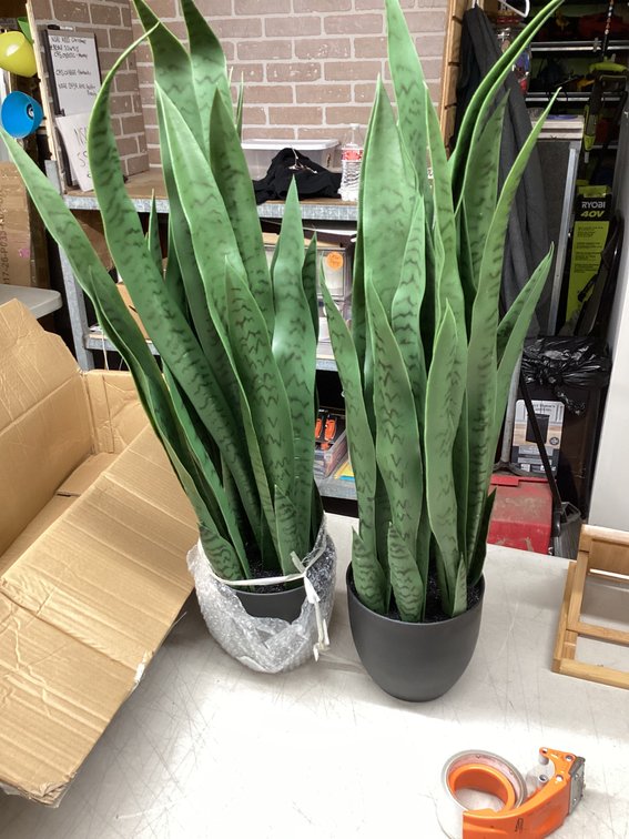 Artificial Plants (S1)