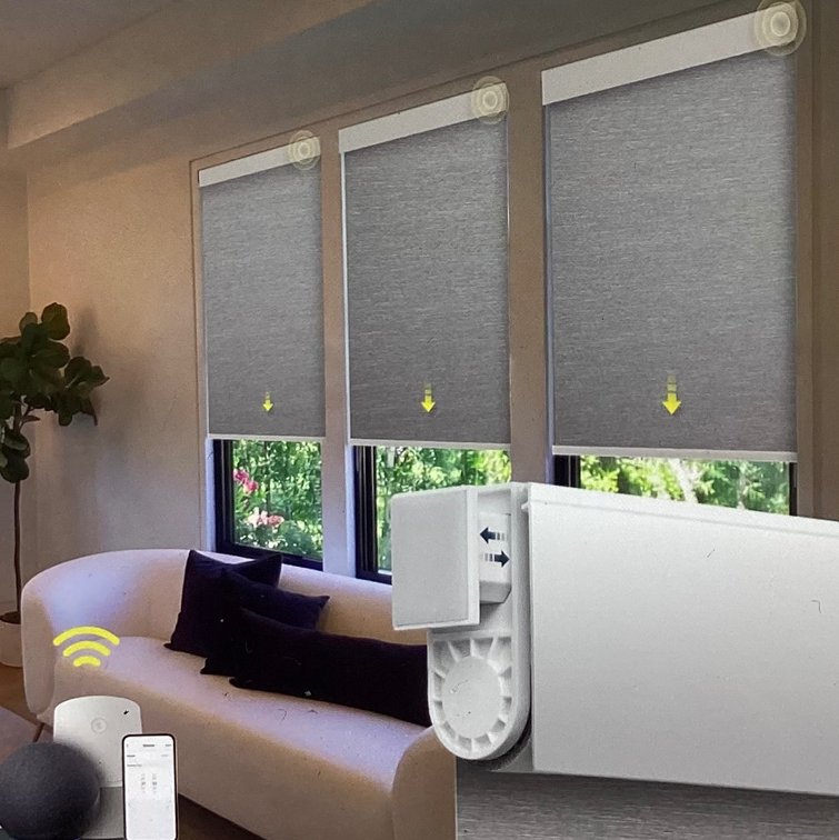 34.75”x72” Cordless Roller Shades (S1)