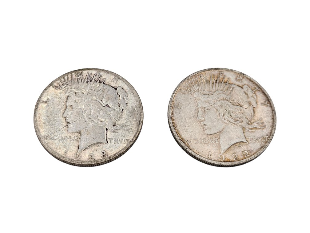 Silver 1922/1923 Peace Dollar Coins (V)