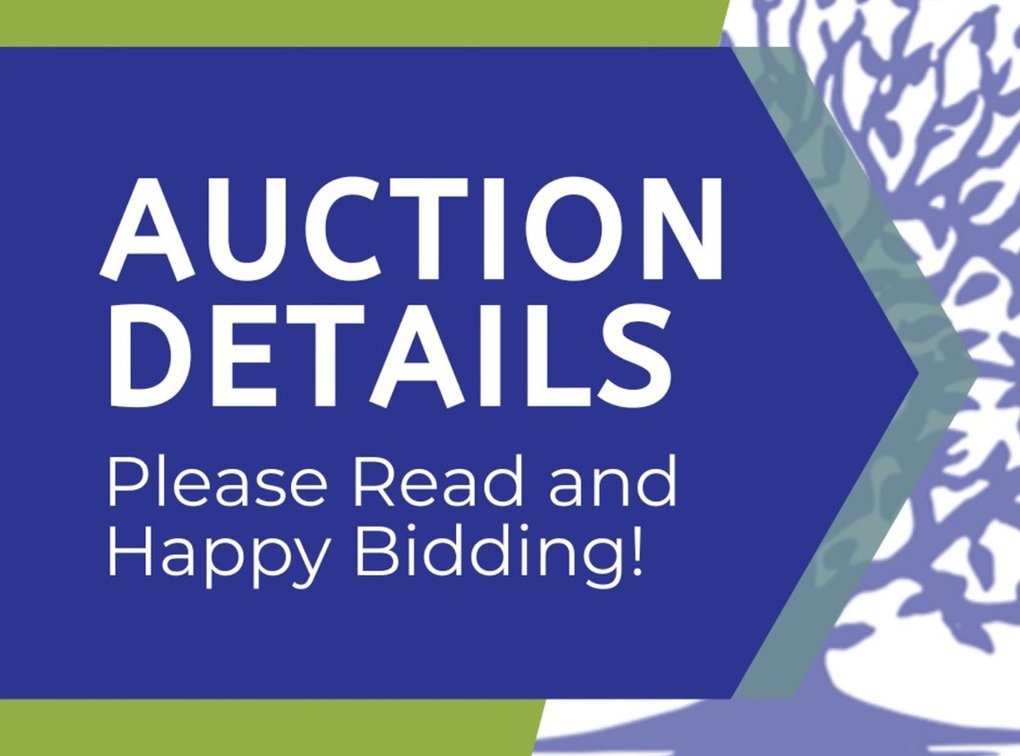 AUCTION DETAILS