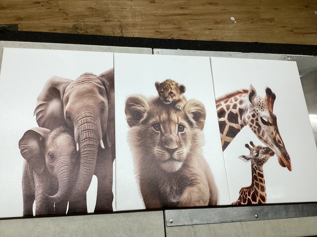 15.5”x23.5” Canvas Art (S5)