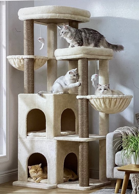 63” Cat Tree with 2 Platforms (S1)