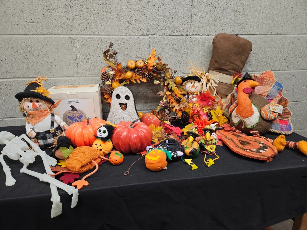Assorted Fall Decor Lot (S-13)