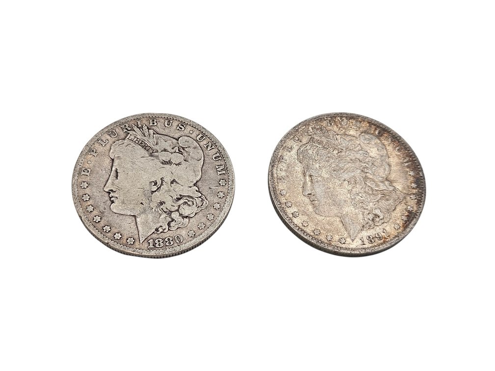 Silver 1880/1891 Peace Dollar Coins (V)
