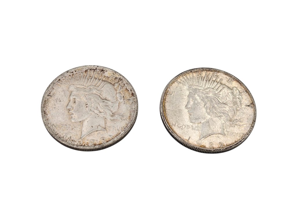 Silver 1922/1923 Peace Dollar Coins (V)