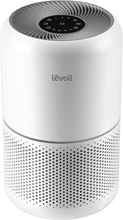 Levoit Air Purifier (S2)