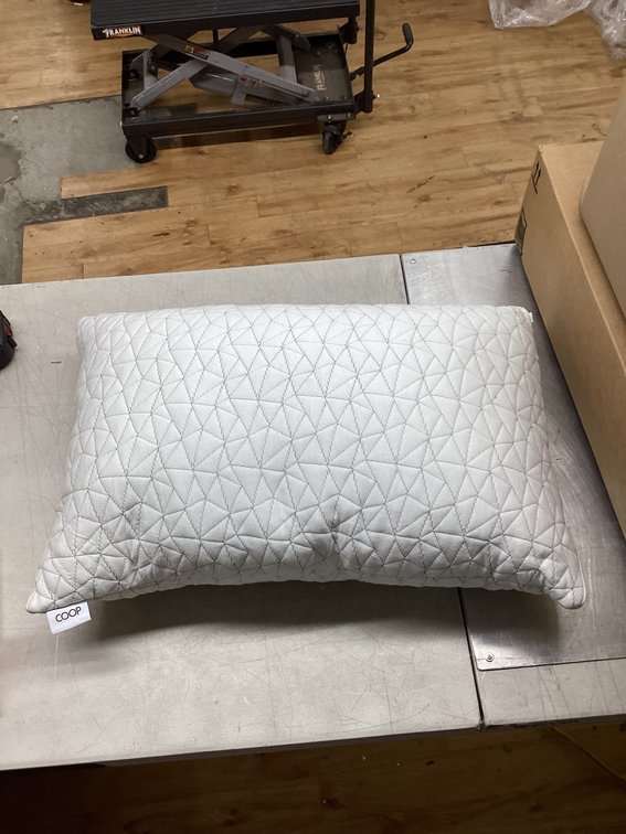 COOP Pillow (S4)