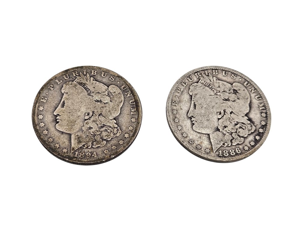 Silver 1886/1894 Morgan Dollar Coins (V)