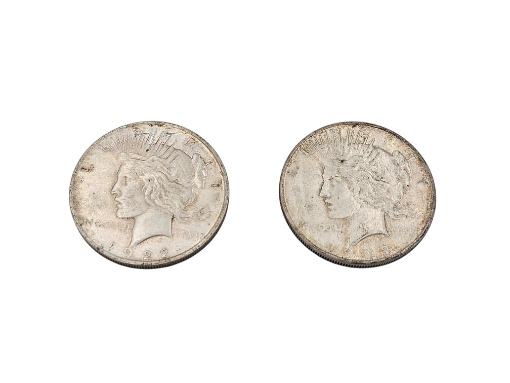 Silver 1922/1923 Peace Dollar Coins (V)