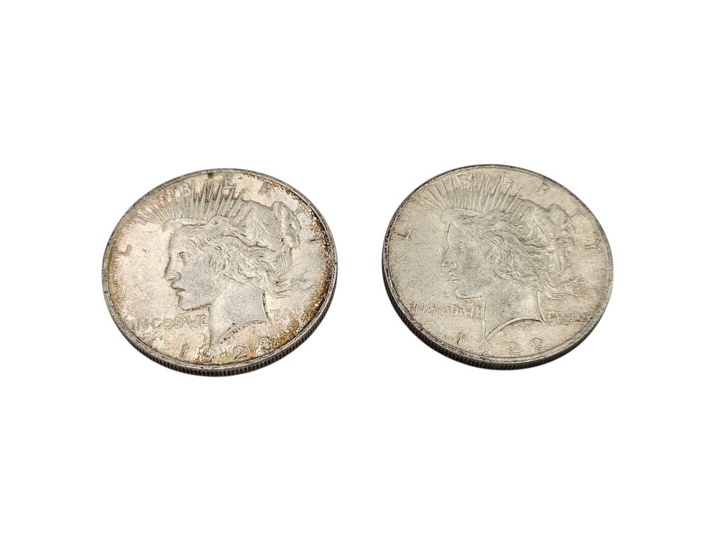 Silver 1922/1923 Peace Dollar Coins (V)