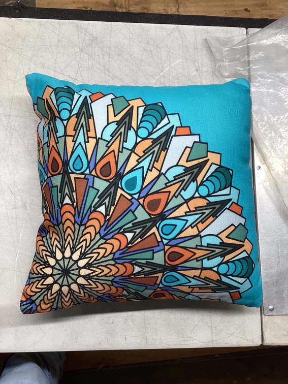 20”x20” Pillow (S2)