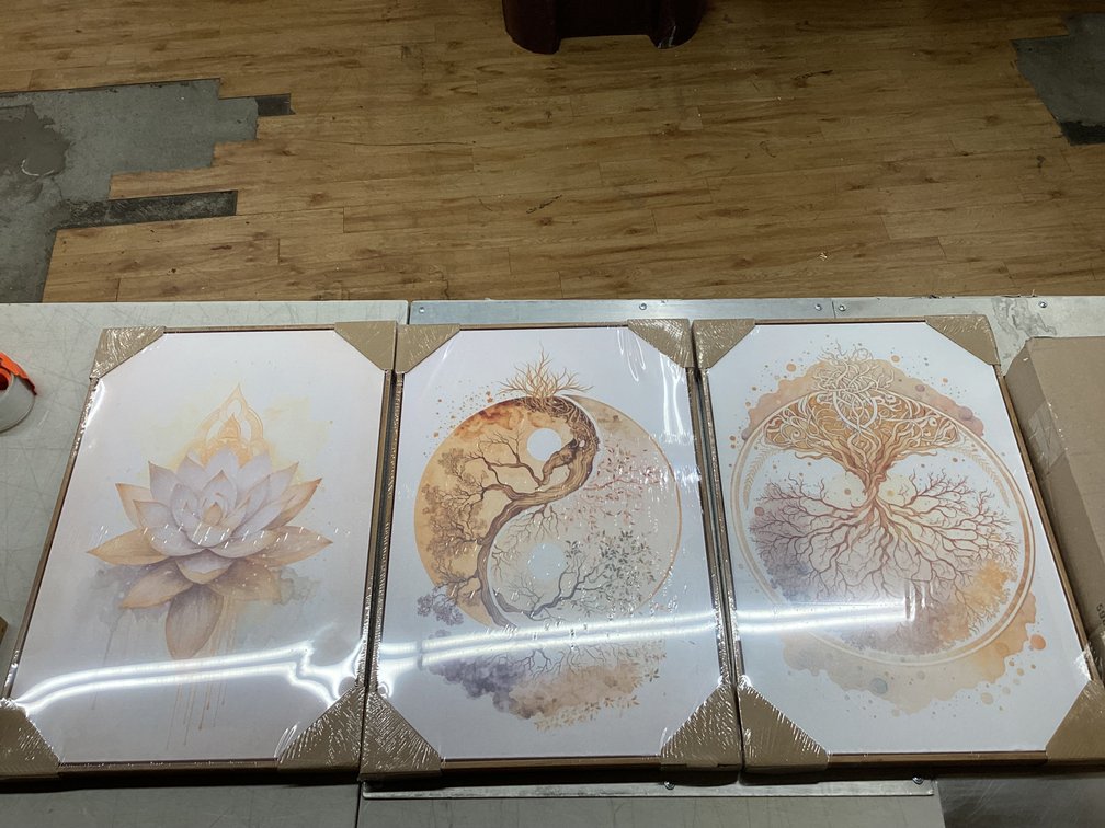 16”x23.5” Pictures (S4)