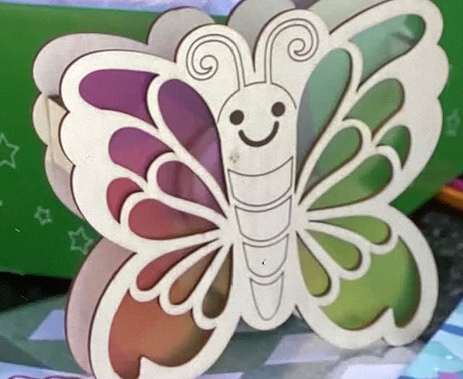Craft Light Up Butterflies (S5)