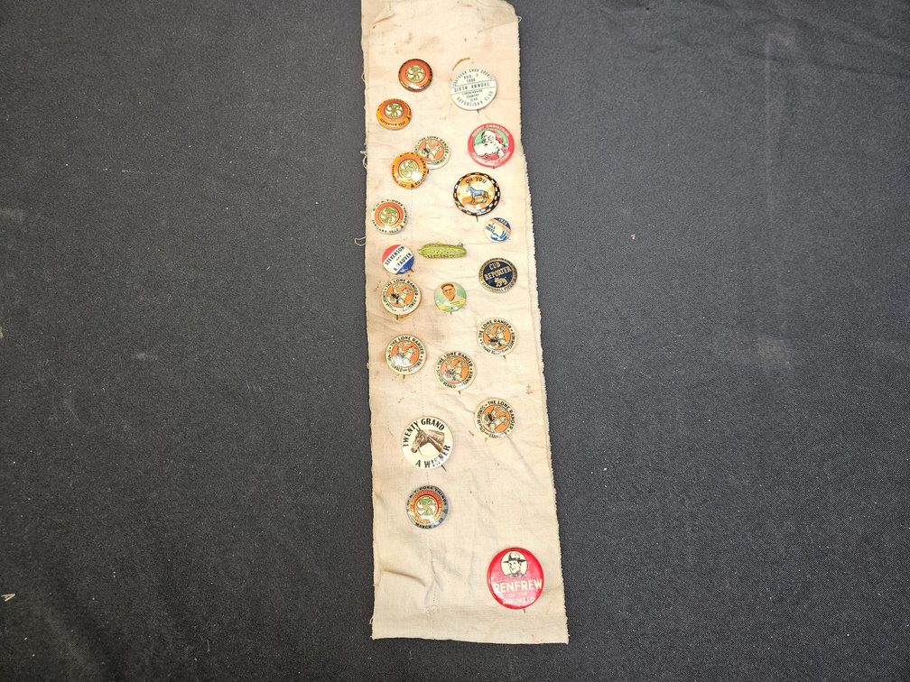 Antique/Vintage Pin Collection (V)