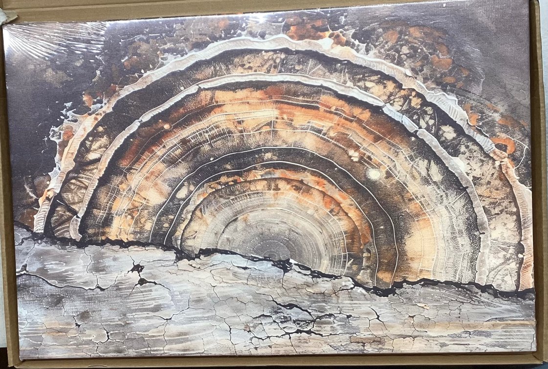 15.5”x23.5” Canvas Art (S4)