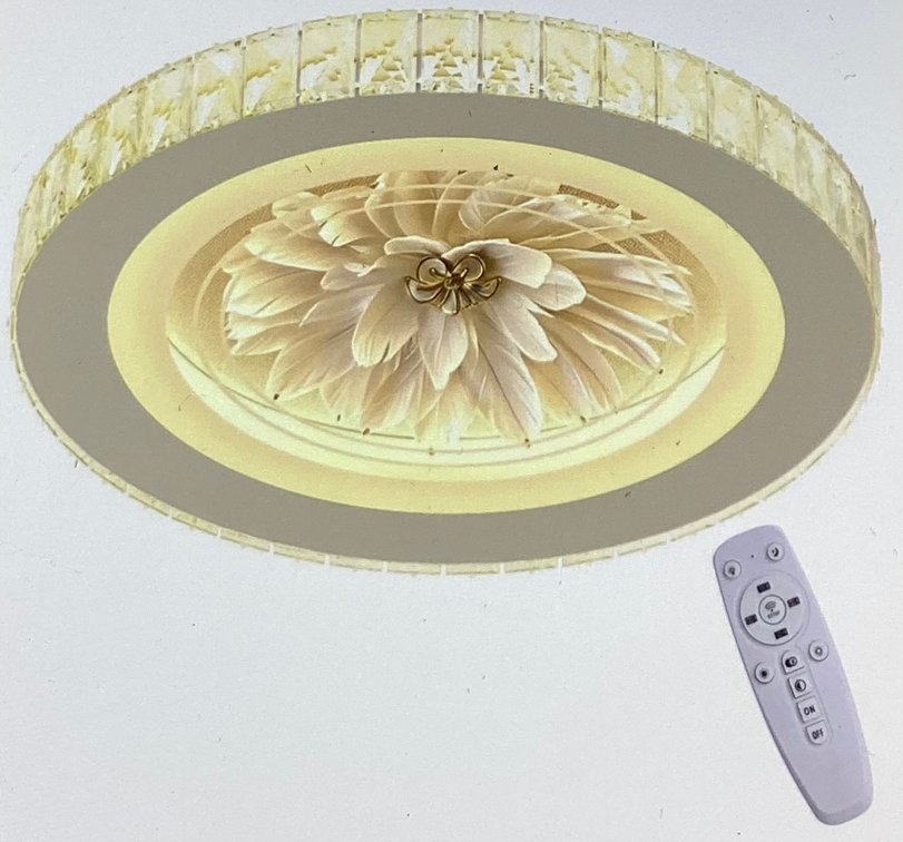 19” LED Ceiling Fan (S5)