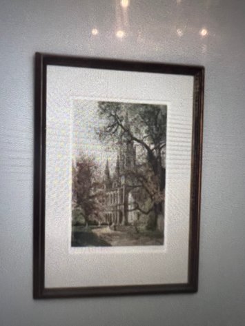 Image for Vienna City Hall framed image