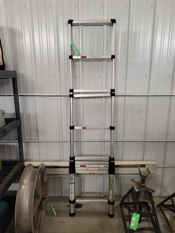 Telesteps collapsible ladder