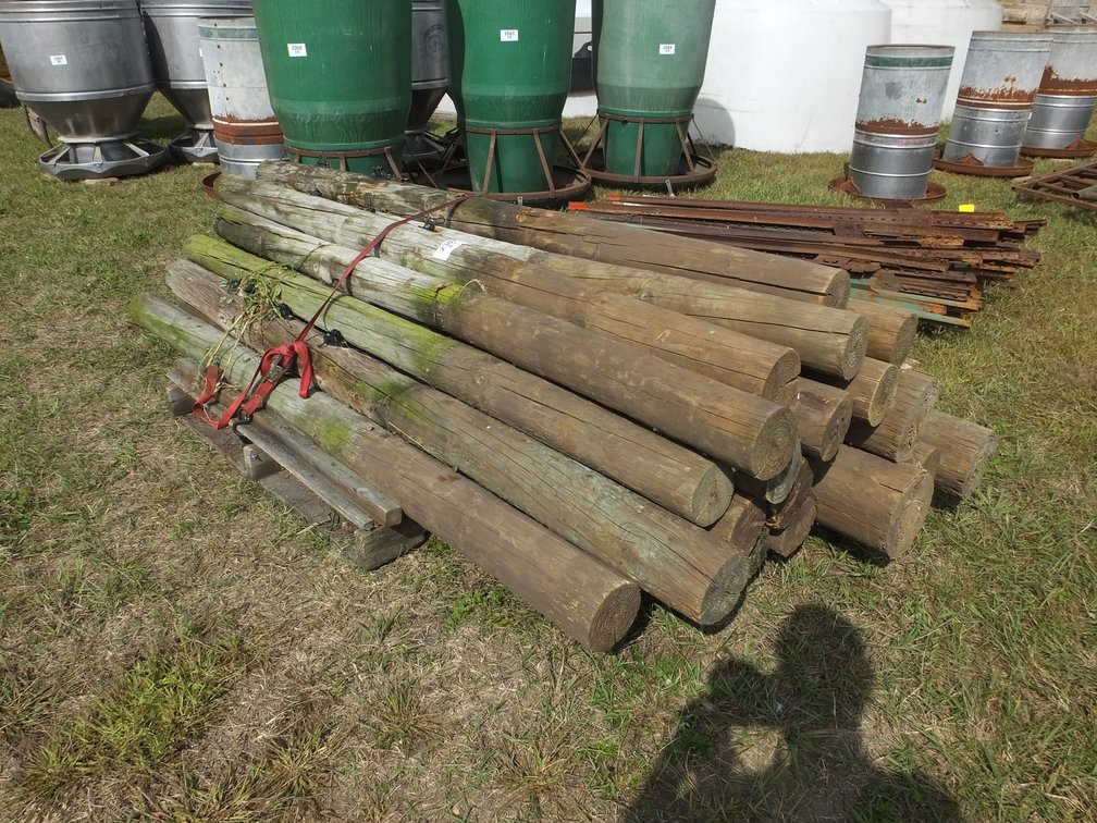 (22) assorted size posts, 7' length