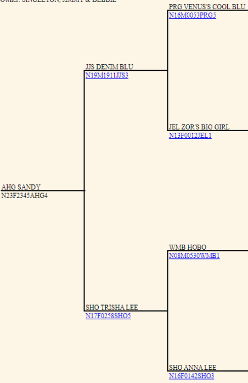 Image for 2024 | Appalachian Kiko Invitational