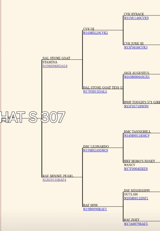 Image for 2024 | Oklahoma Hills Invitational Sale