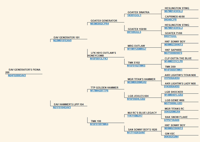 Image for 2026 | Mountain Premier Invitational