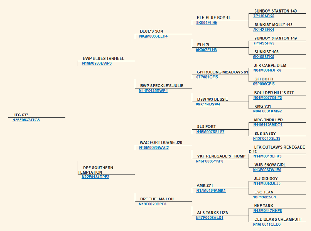 Image for 2026 | Bluegrass Performance Invitational