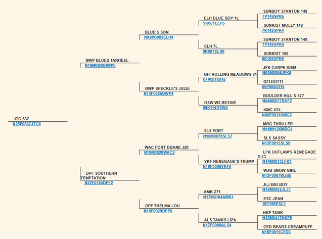 Image for 2026 | Bluegrass Performance Invitational
