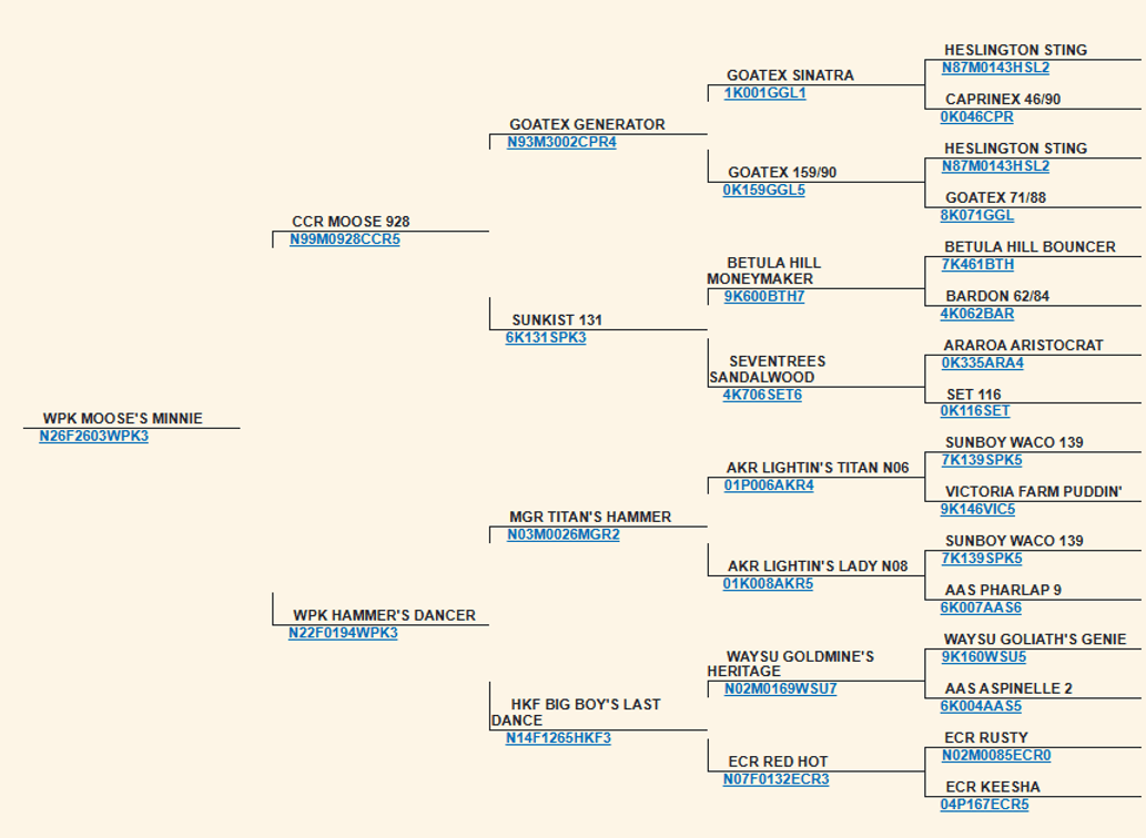 Image for 2026 | Appalachian Kiko Invitational