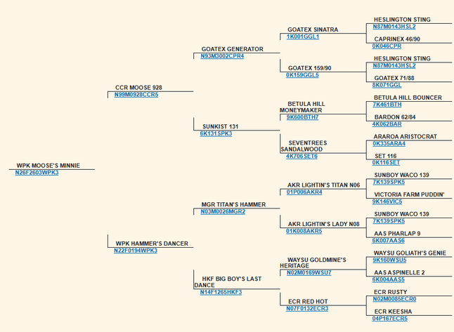 Image for 2026 | Appalachian Kiko Invitational