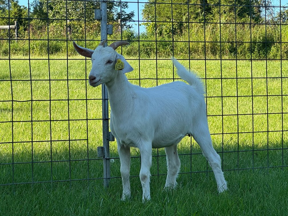 DOE-NZ