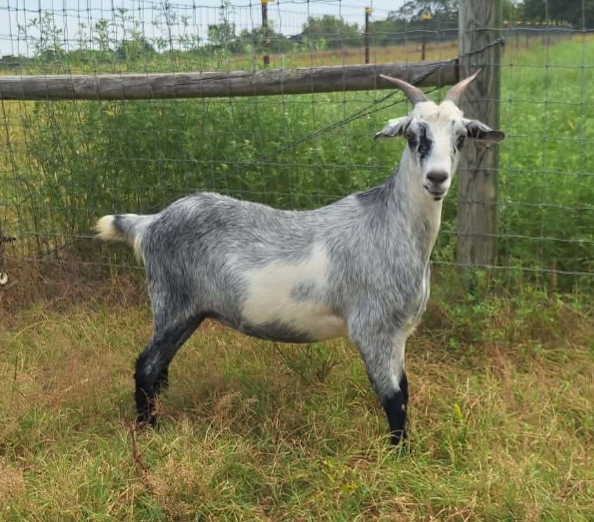 DOE-NZ