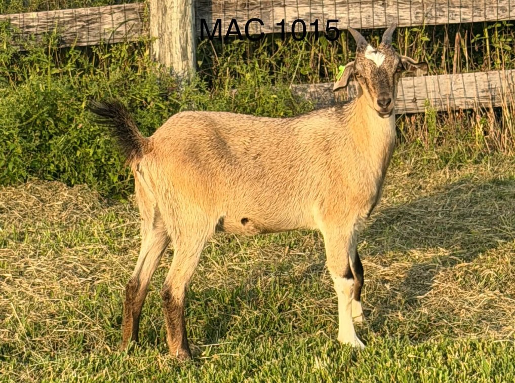 DOE-NZ