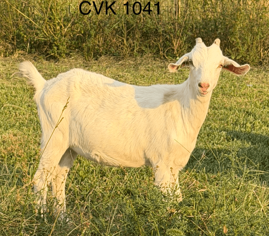 DOE-NZ